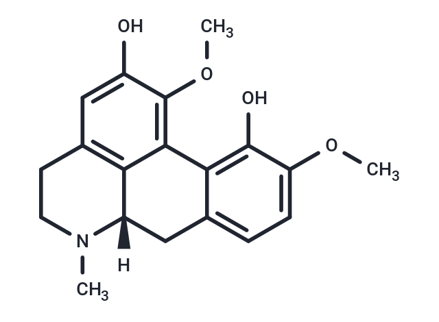 N-Methyllindcarpine