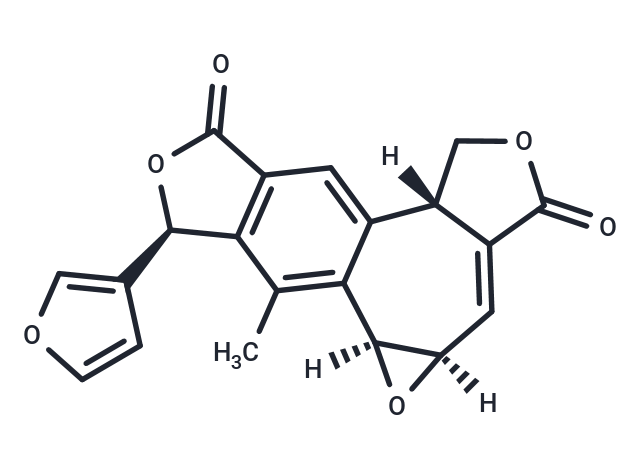 Salvileucantholide