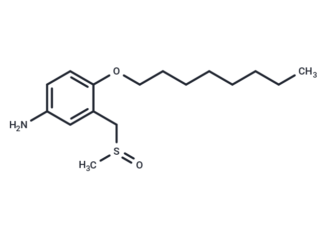 m-Toluidine, alpha-(methylsulfinyl)-4-(octyloxy)-