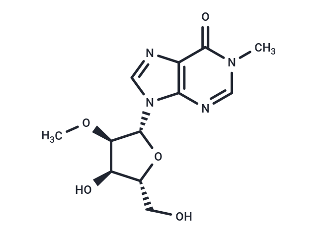 2’-O-Methyl-N1-methyl   inosine