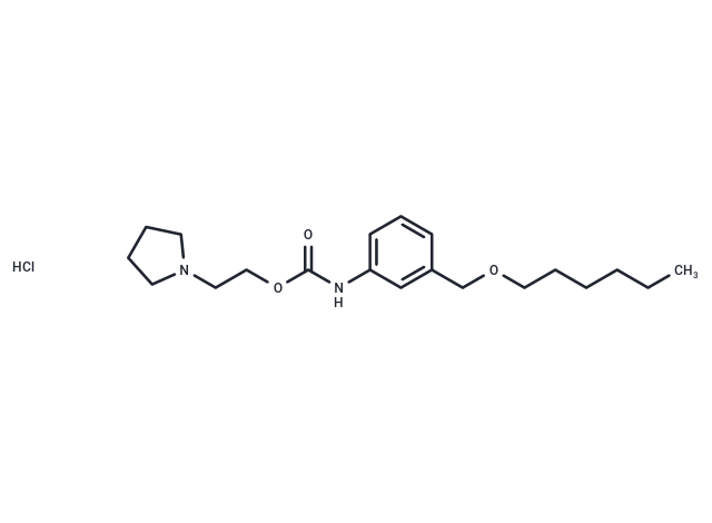 Carbanilic acid, m-((hexyloxy)methyl)-, 2-(1-pyrrolidinyl)ethyl ester, hydrochloride