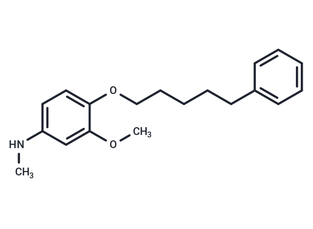 m-Anisidine, N-methyl-4-((5-phenylpentyl)oxy)-