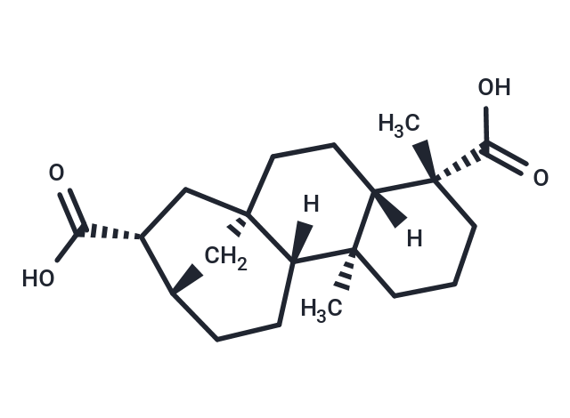 ent-Kauran-17,19-dioic acid