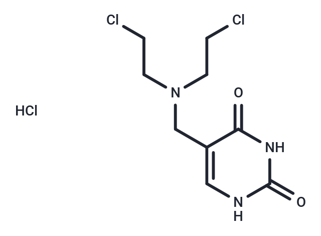 Thyminalkamine