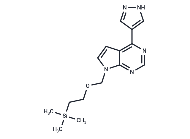 INCB032304