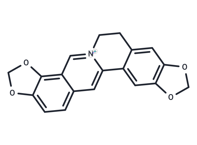 Coptisine