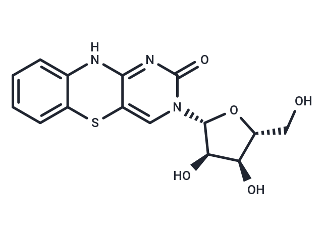 Tricyclic cytosine tC