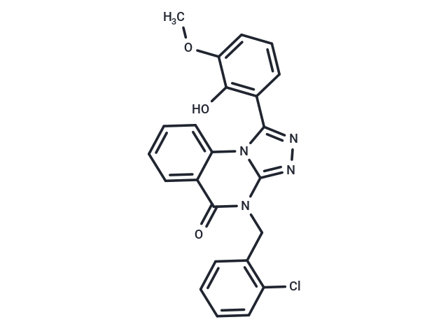 SHP244