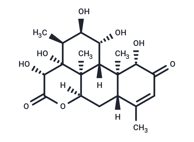 14,15 β-Dihydroxyklaineanone