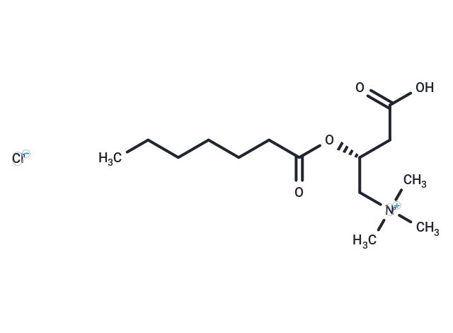 Heptanoyl-L-carnitine (chloride)