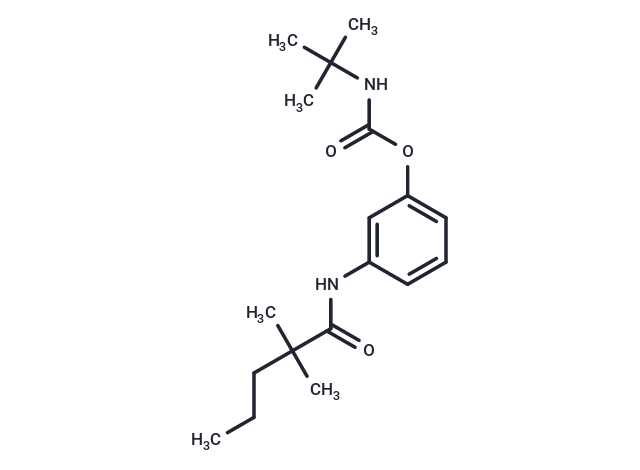 Valeranilide, 2,2-dimethyl-3'-hydroxy-, tert-butylcarbamate (ester)