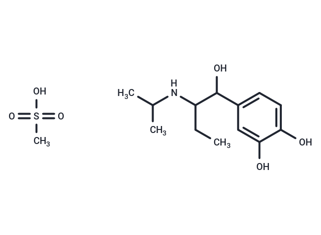 Isoetharine mesylate salt