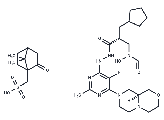 Lanopepden camsylate