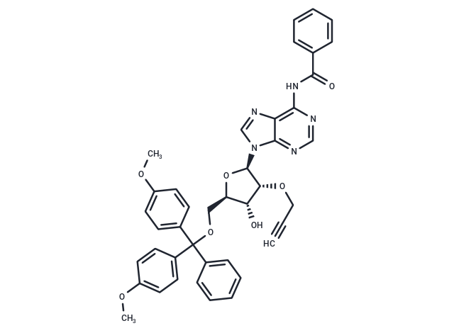 N4-Benzoyl-5'-O-DMT-2'-O-propargyl adenosine