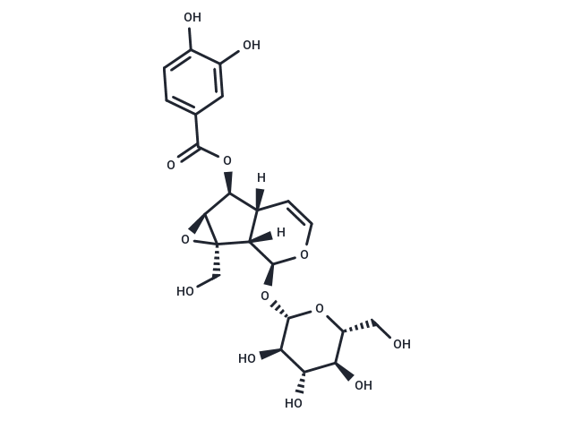 Verproside