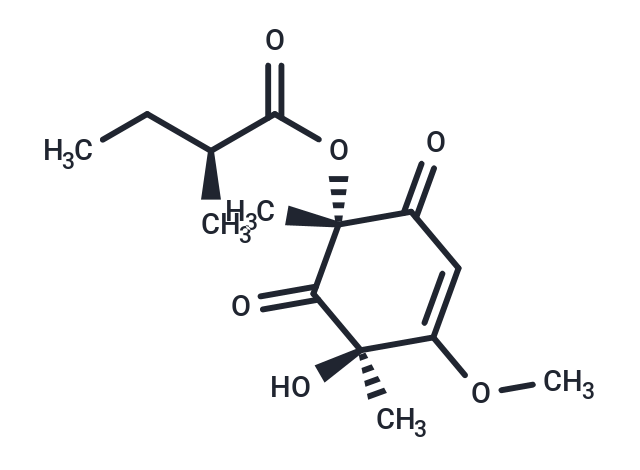 Phomaligol A