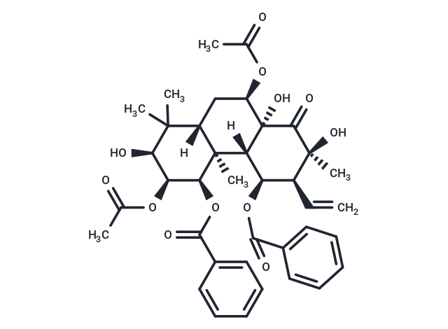 Neoorthosiphol A