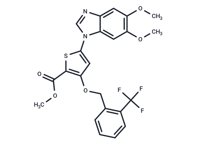 GSK1030058A