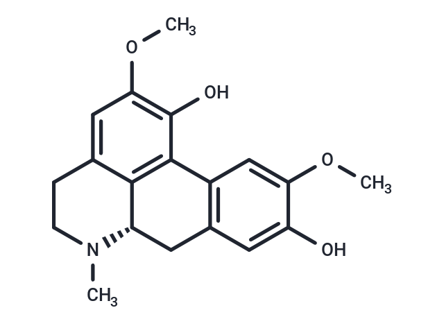 Isoboldine