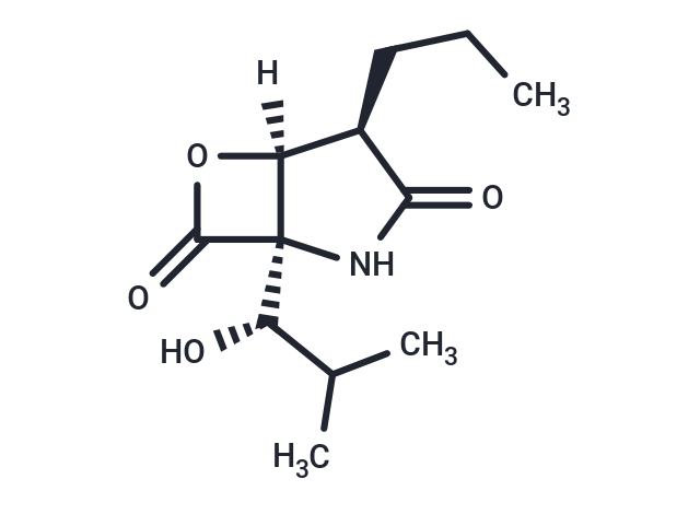 PS-519