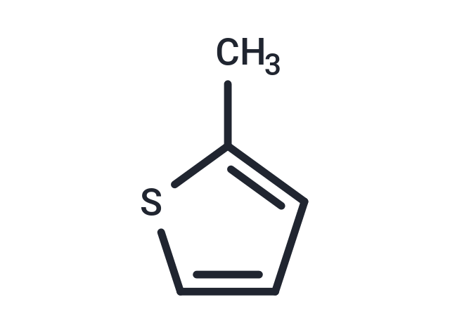 2-Methylthiophene