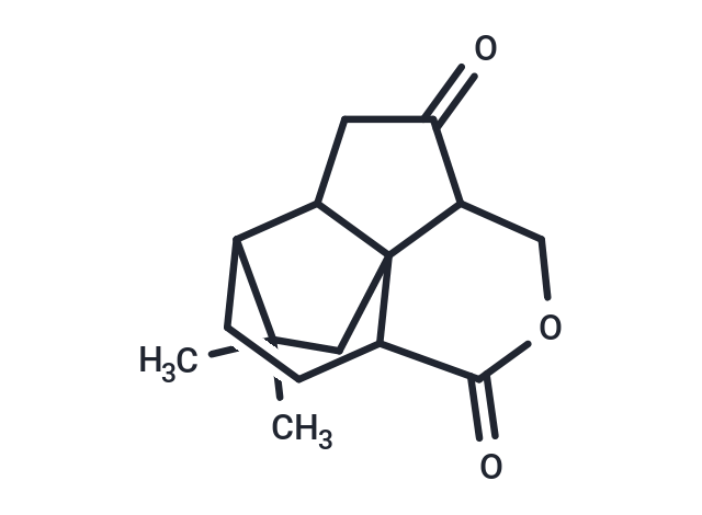 Quadrone