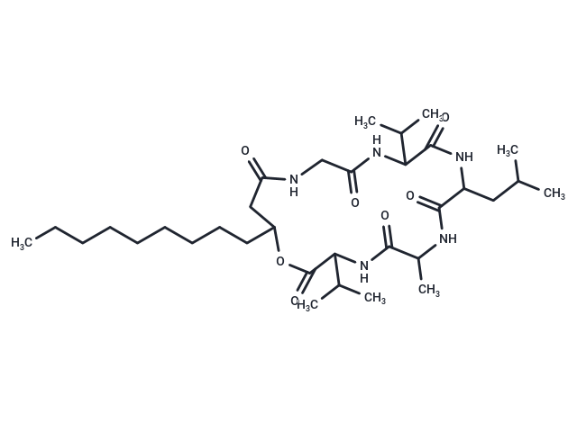 Isariin