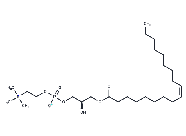 1-Oleoyl-sn-glycero-3-phosphocholine