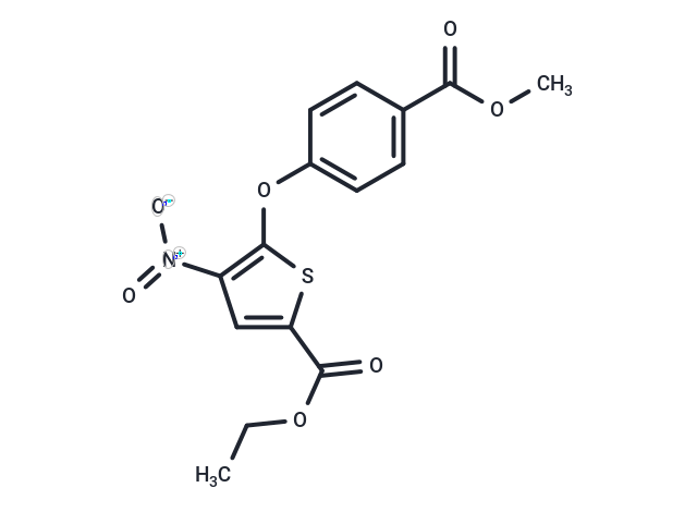 Wu-5