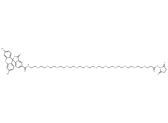 Carboxyfluorescein-PEG12-NHS