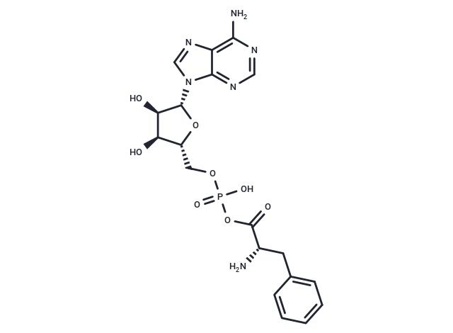 Phenylalanyl adenylate