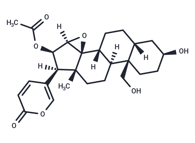 Cinobufaginol