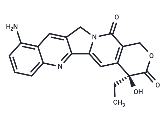 9-amino-CPT