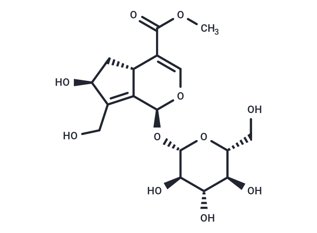 10-Hydroxy majoroside