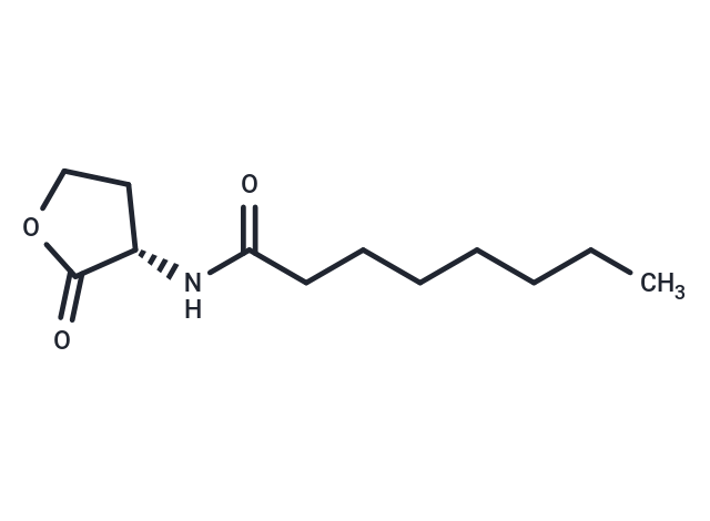 N-octanoyl-L-Homoserine lactone