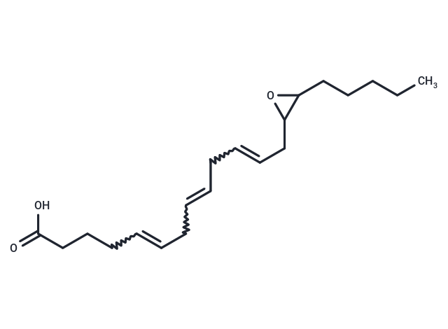 14,15-Epoxyeicosatrienoic acid