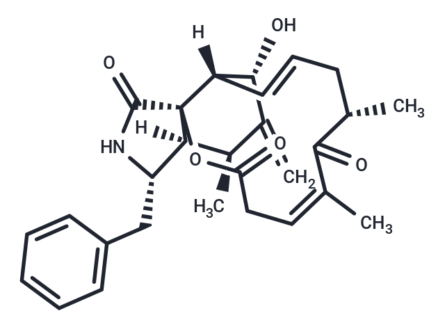 10-Phenyl-[12]-cytochalasins Z16
