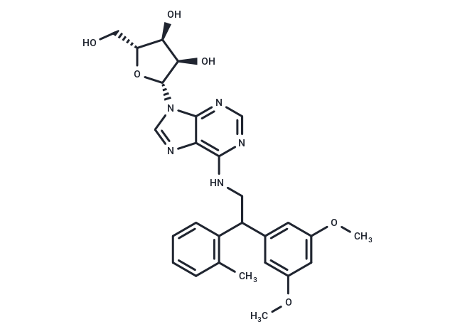 CGS 24012