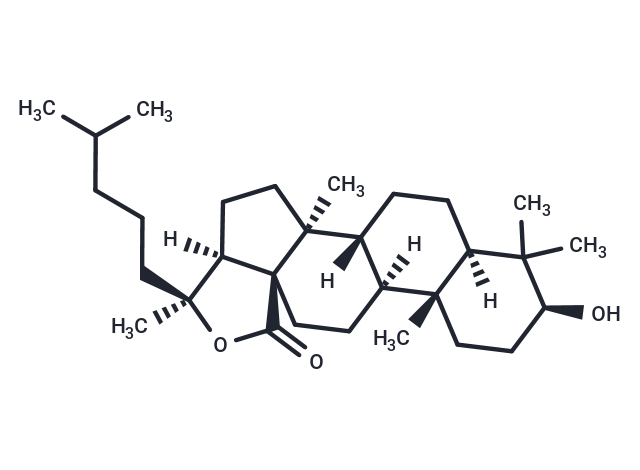 Holostanol