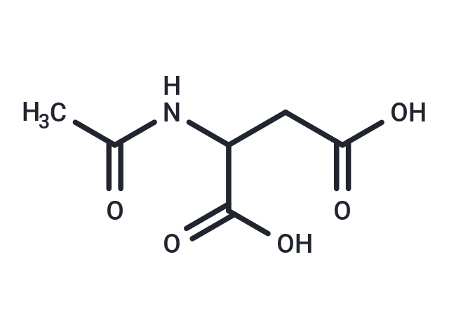 2-Acetamidosuccinic acid