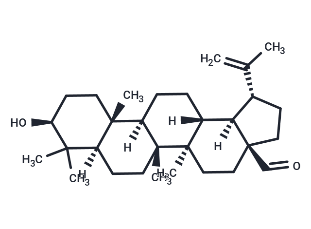 Betulinaldehyde