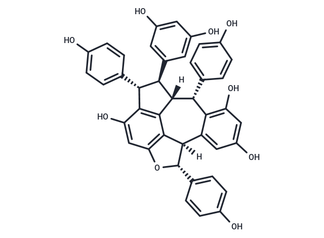 Ampelopsin C