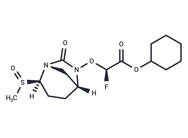 β-Lactamase-IN-6