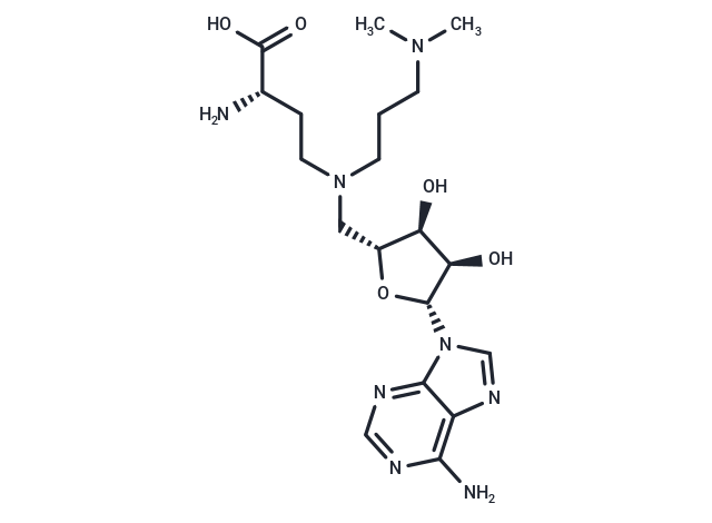 GSK-2807 free base