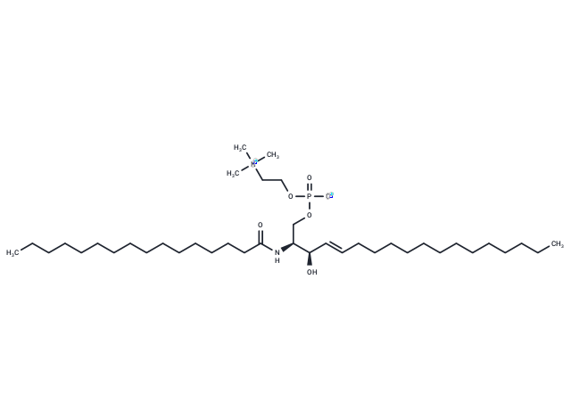 C16 Sphingomyelin (d18:1/16:0)