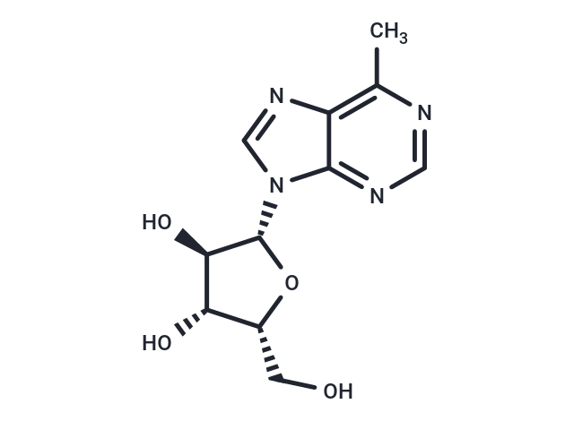 6-Methyl-9-(beta-D-xylofuranosyl)purine