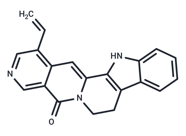 Angustine