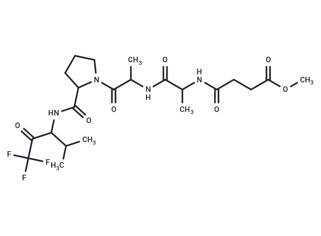 Mdl 27013