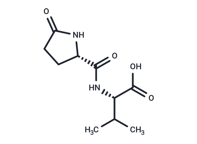 Pyroglutamylvaline