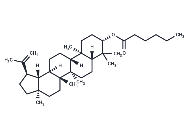 Cynanester A